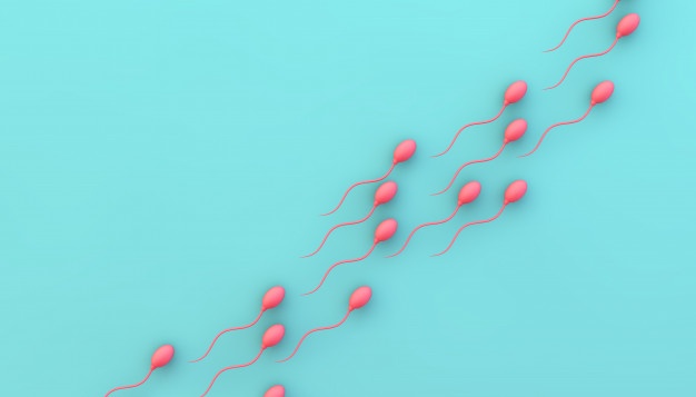 ¿En riesgo la supervivencia humana por disminución del conteo de espermatozoides?