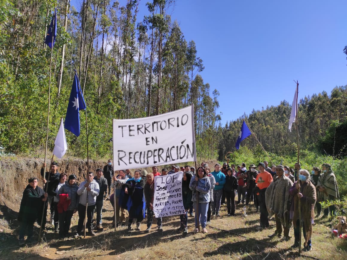 Ante incumplimiento del Estado, comunidades mapuche iniciaron recuperación de territorio ancestral ocupado por empresa forestal en Nueva Imperial