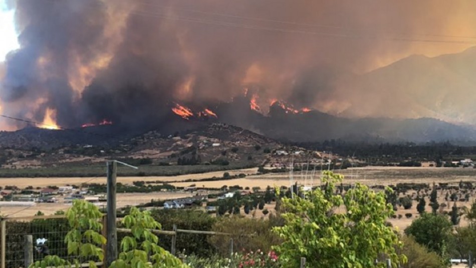 Decretan alerta roja por incendio forestal en Curacaví y detienen a tres personas por presuntamente causar el fuego al hacer un asado