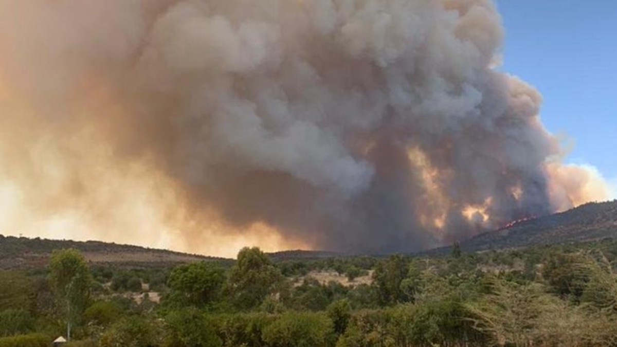 (Fotos) Continúa incendio forestal en reserva natural de Kenia