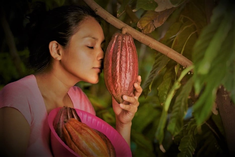 Mujeres mexicanas entregan su amor al cacao y el chocolate