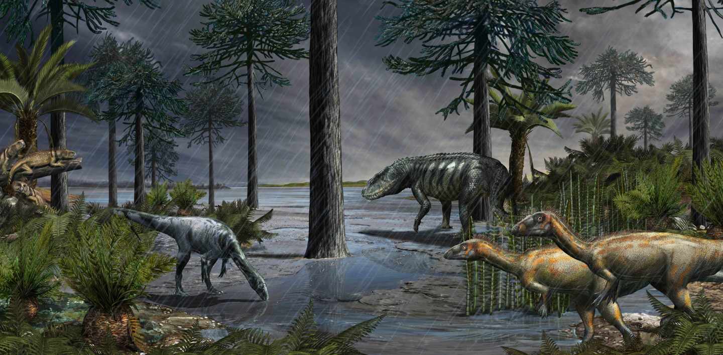 Científicos argentinos descubren nueva especie de dinosaurio carnívoro poderoso
