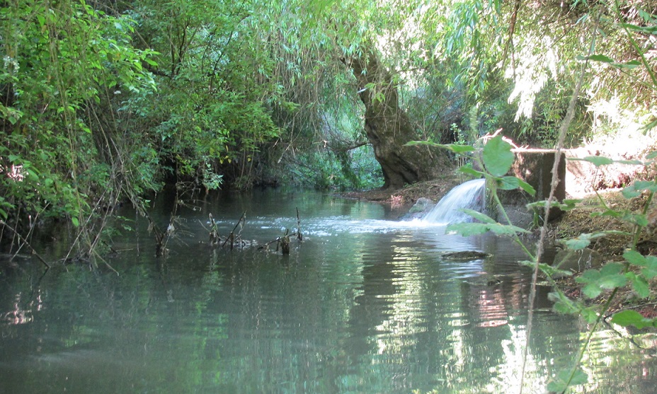 Aguas servidas de Perquenco causan grave afectación ambiental a comunidades Mapuche