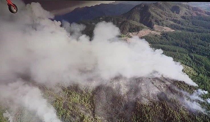 Prisión preventiva para brigadistas imputados por serie de incendios forestales en Molina