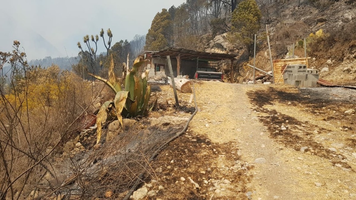 Nuevo León de México: Al menos 20 viviendas afectadas y el desalojo de mil personas dejó incendio en Sierra de Santiago