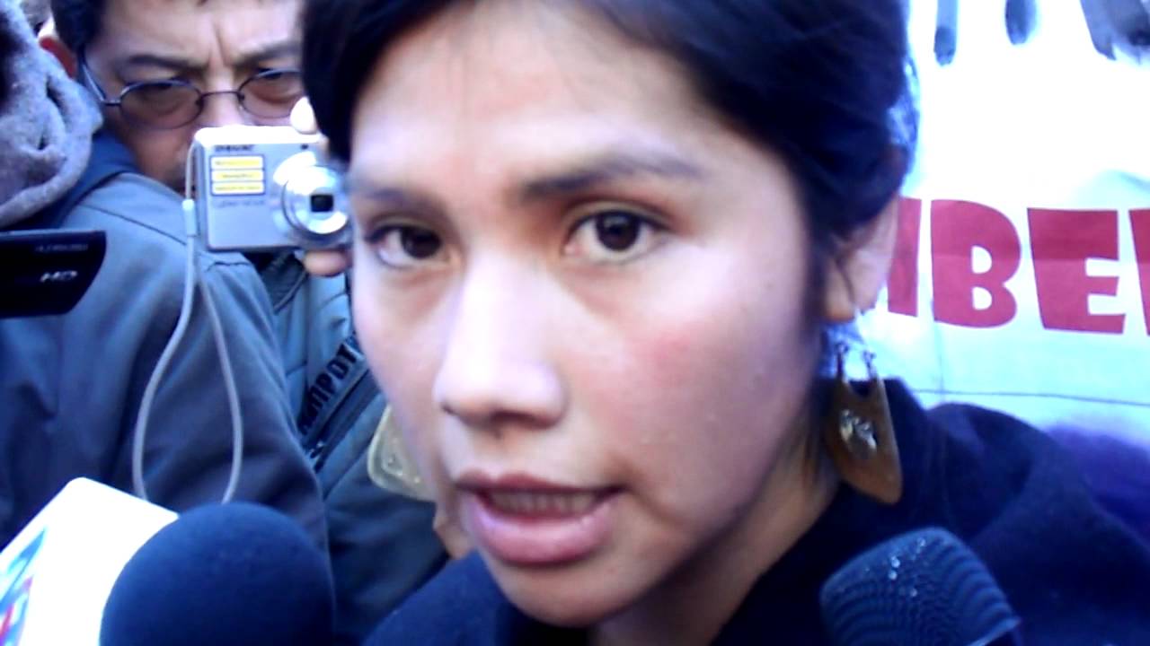 Candidata a Constituyente reivindica avance de mapuches en la recuperación de territorio ancestral