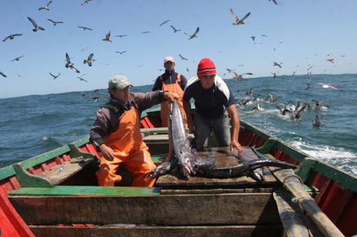Los Desafíos Pesqueros de Chile ante una Nueva Constitución y nueva Ley de Pesca