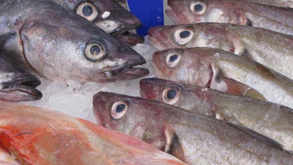 Venta de pescado y marisco en cuaresma, una tradición que sobrevive a la pandemia