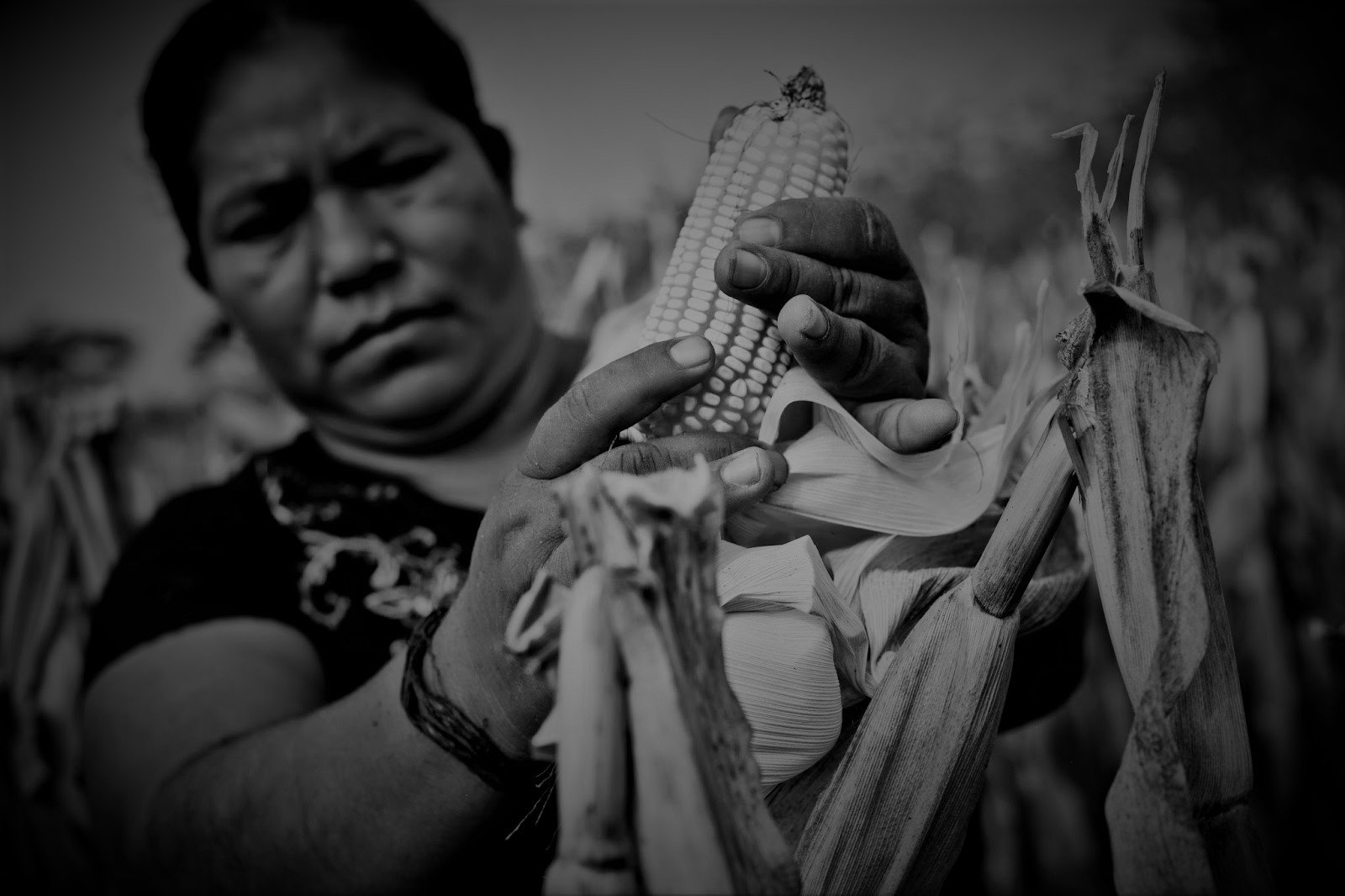 Mujeres tienen menos de 30% de títulos de derechos agrarios en México