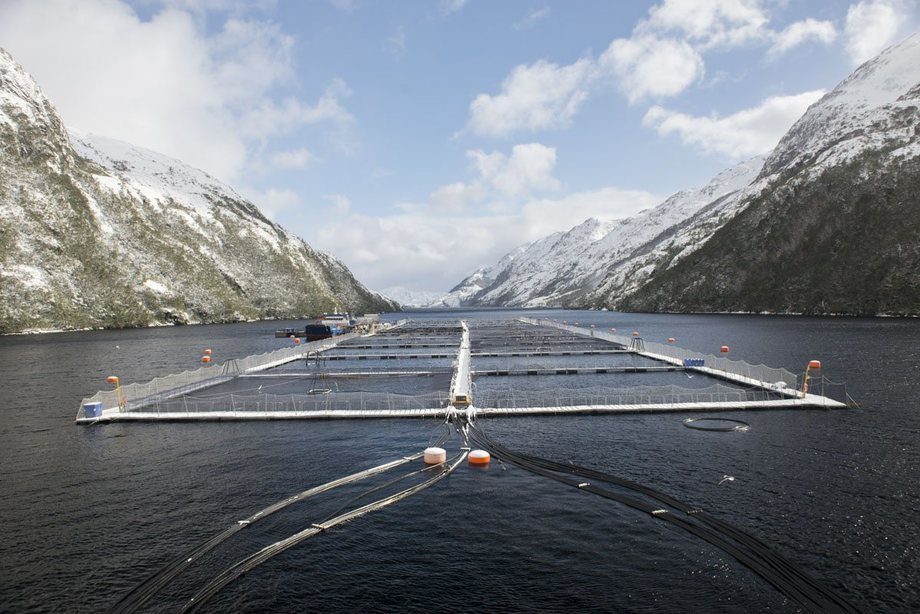 Abuso laboral y destrucción de fondos marinos: Las denuncias contra la salmonera noruega-norteamericana Nova Austral en la Patagonia