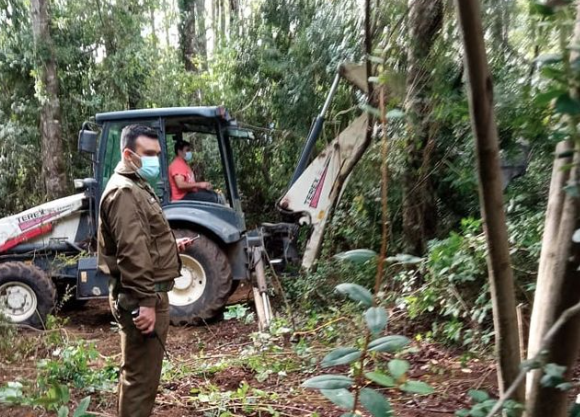 Denuncian tala ilegal por parte de empresario al bosque nativo en Pucón afectando a tres cementerios mapuche