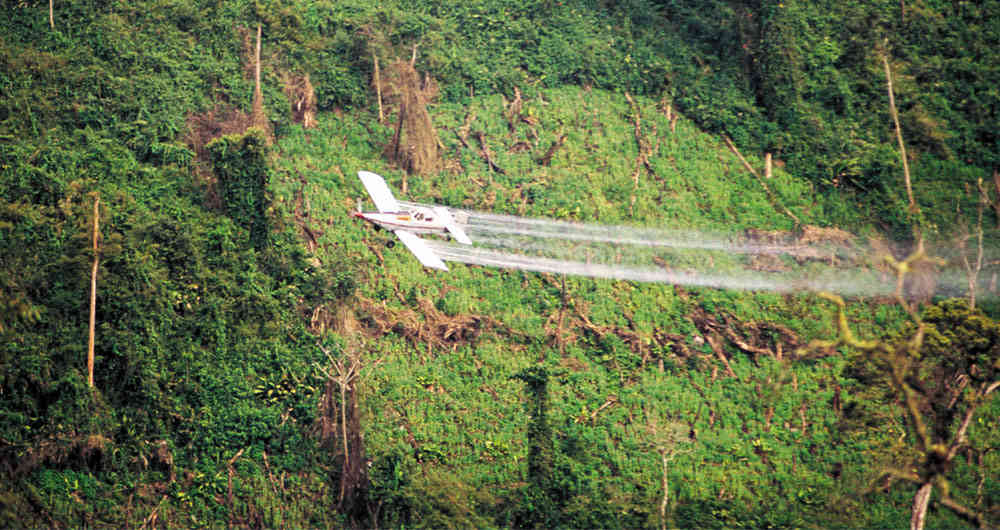 Preocupa a agricultores colombianos posible retorno de fumigaciones con glifosato para erradicar cultivos de coca