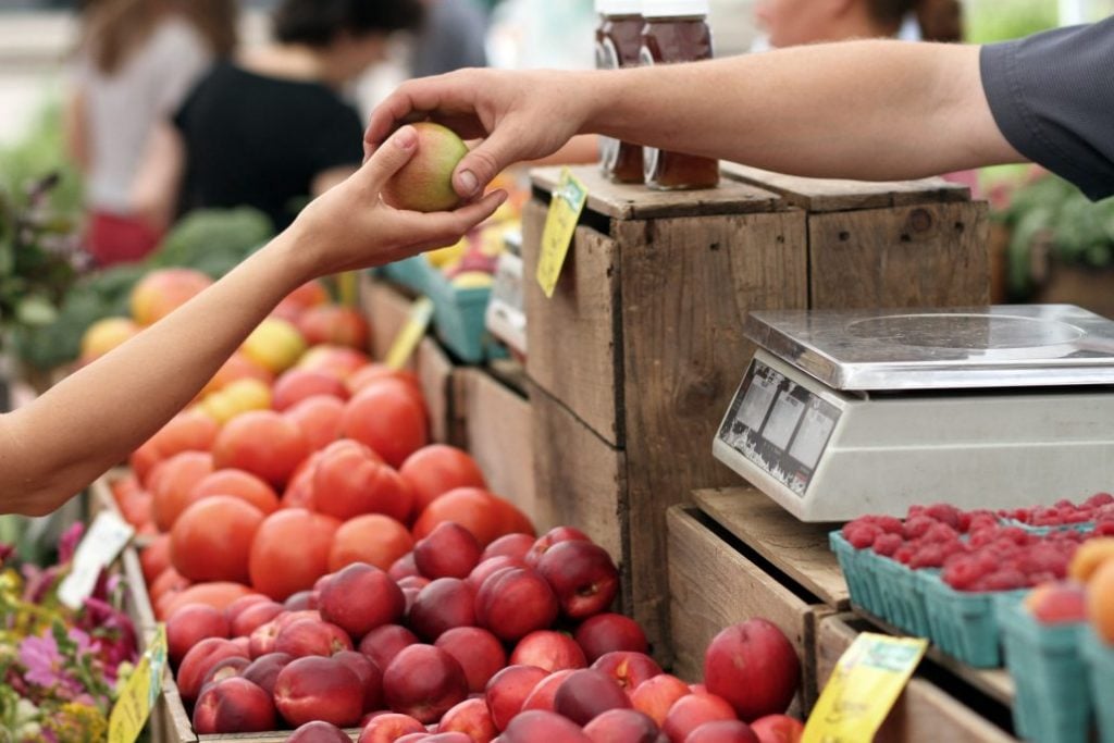 Un 36% de los chilenos ha intentado disminuir el consumo de alimentos de origen animal