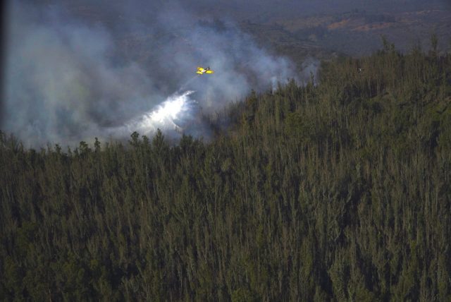 Aprueban en general proyecto que prohíbe desarrollo inmobiliario en terrenos afectados por incendios forestales