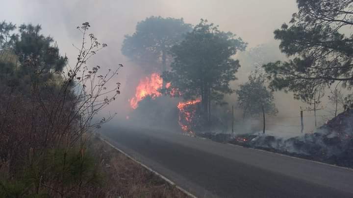 Claman en Tetela ayuda del gobierno para apagar fuego