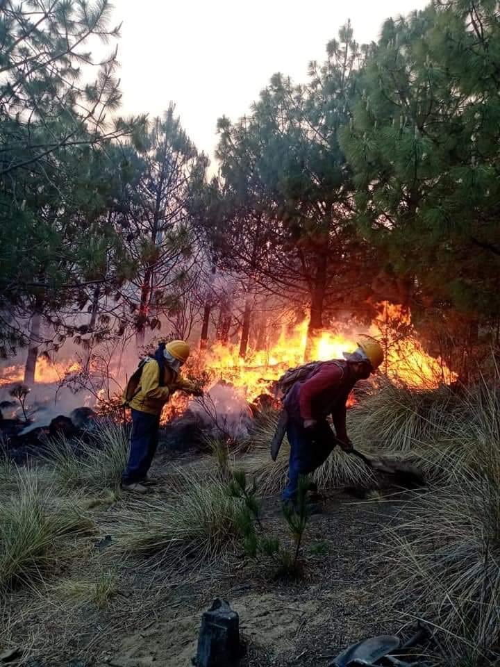 México acumula 55 incendios activos en 16 estados