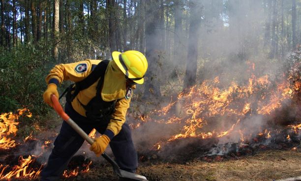 ¿Quieres ayudar en la lucha contra los incendios en la Malinche? Aquí puedes donar víveres