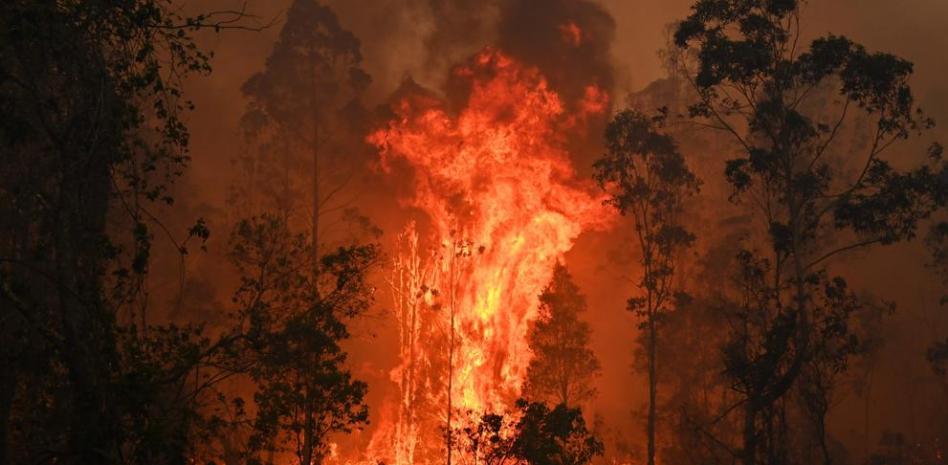 (Video) Incendio en EE.UU. alcanza dimensiones descomunales hasta generar sus propias condiciones climáticas