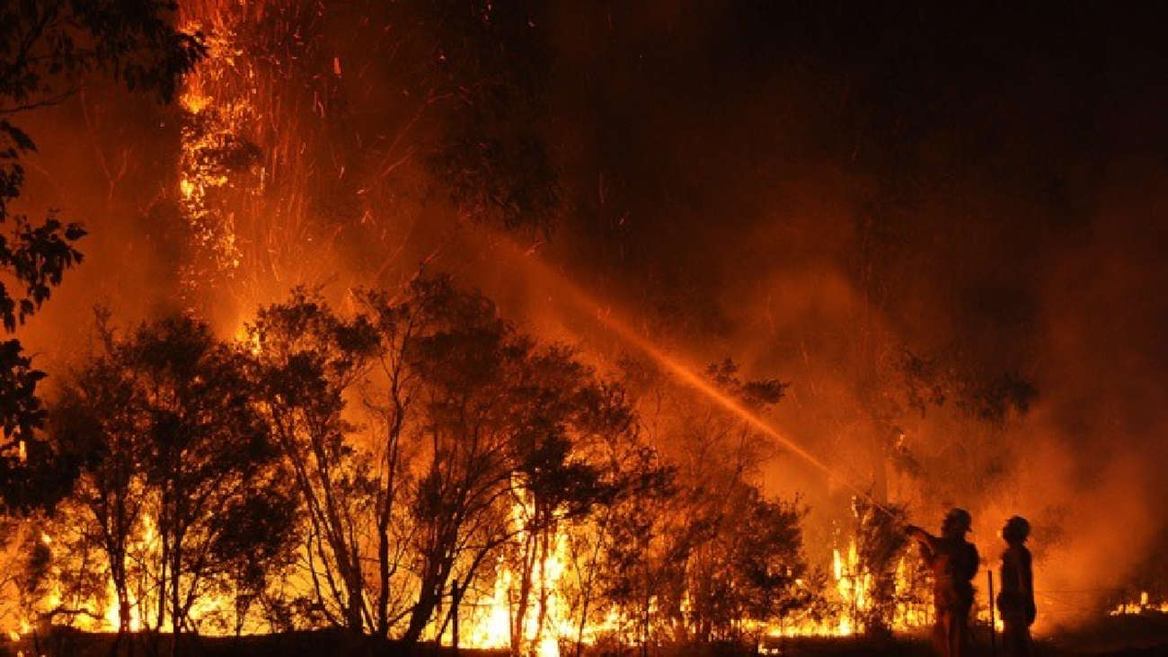 Incendios forestales de Australia registrados hace dos años aumentaron la temperatura terrestre