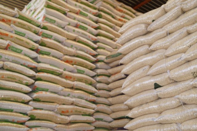 Cae producción de maíz en México