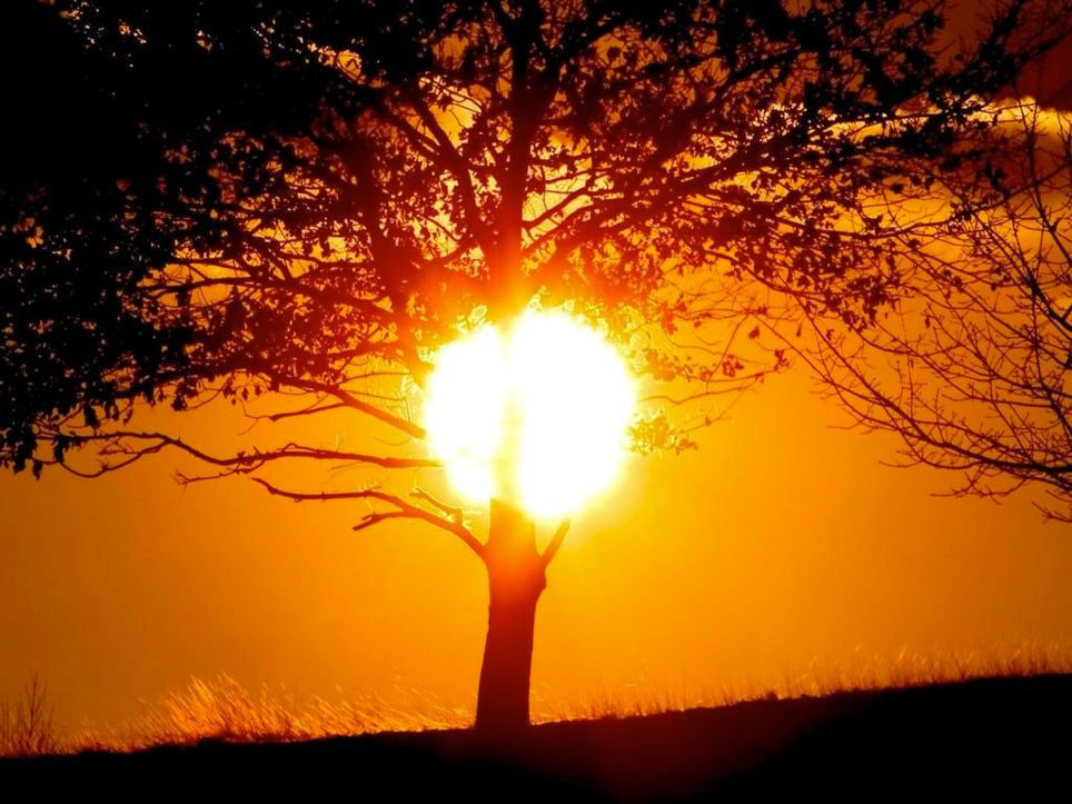 El sol, en su punto, en ocho estados del país
