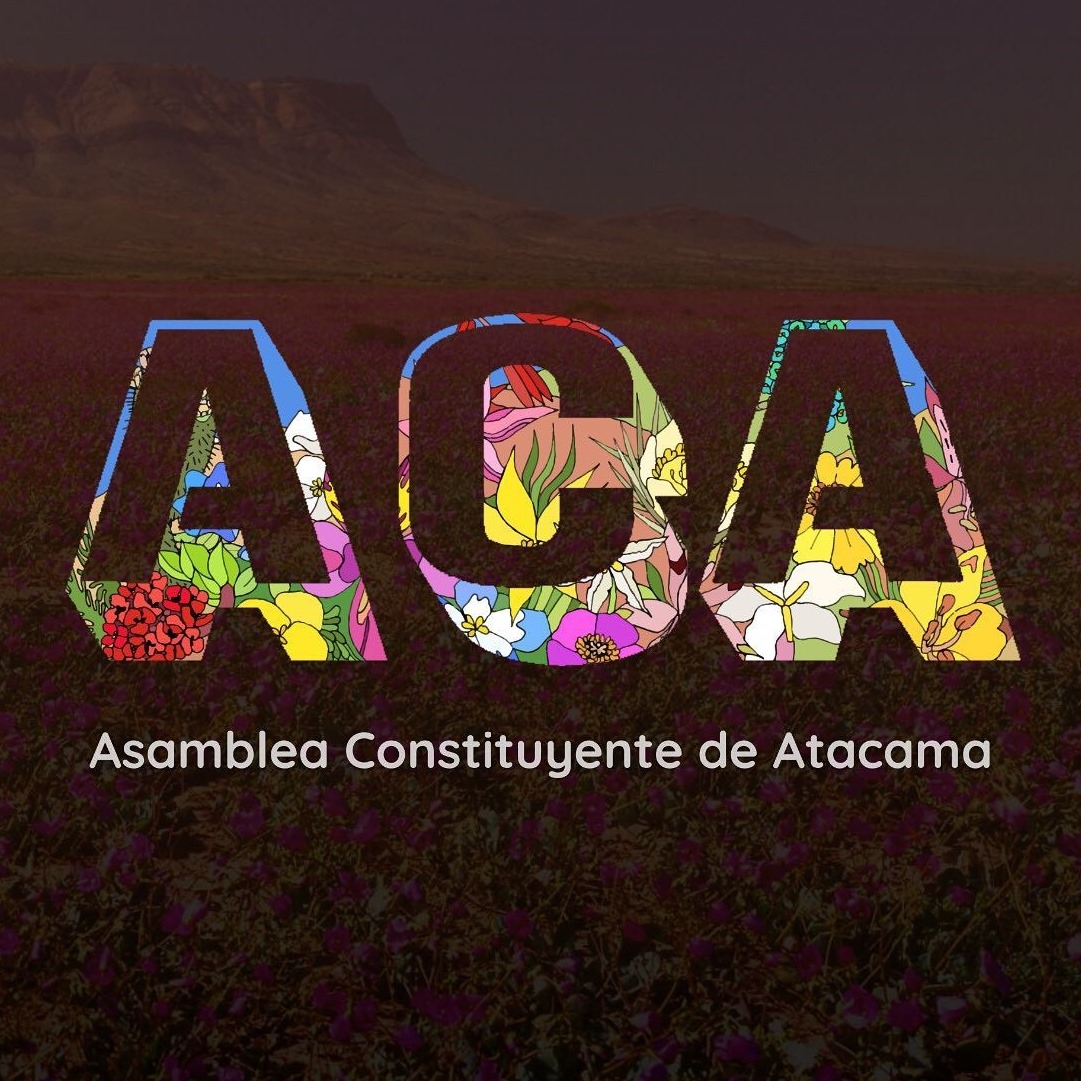 Columna de la Asamblea Constituyente de Atacama: La falsa cara de algunos candidatos independientes, dime con quién andas y te diré quién eres