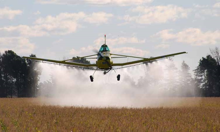 Comunidades Mapuche Lafkenche interponen recurso por desastre socioambiental causado por plaguicidas