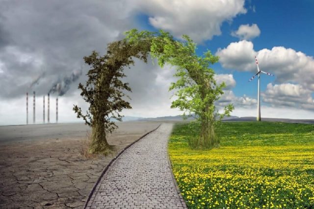 Algas, orugas y hongos, los alimentos del futuro