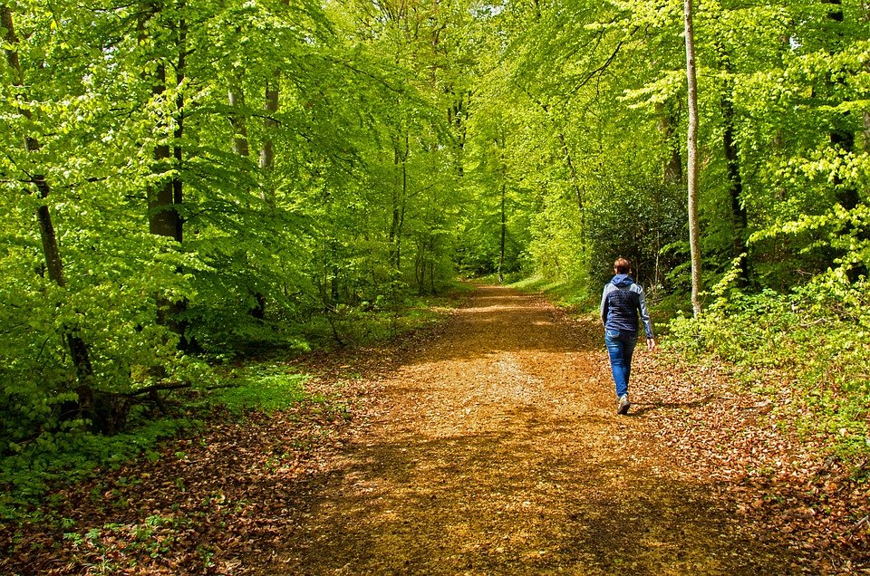 caminatas vida