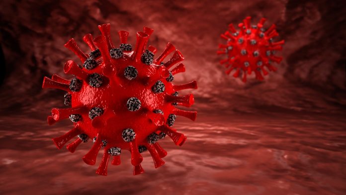 coronavirus anticuerpo
