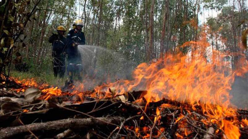 Incendios acaban con bosques en Guatemala: Casi 9 mil hectáreas consumidas en lo que va de año