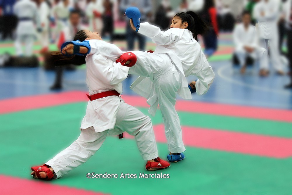 Deporte contra burocracia: La selección varonil de karate, sin apoyo de la Conade