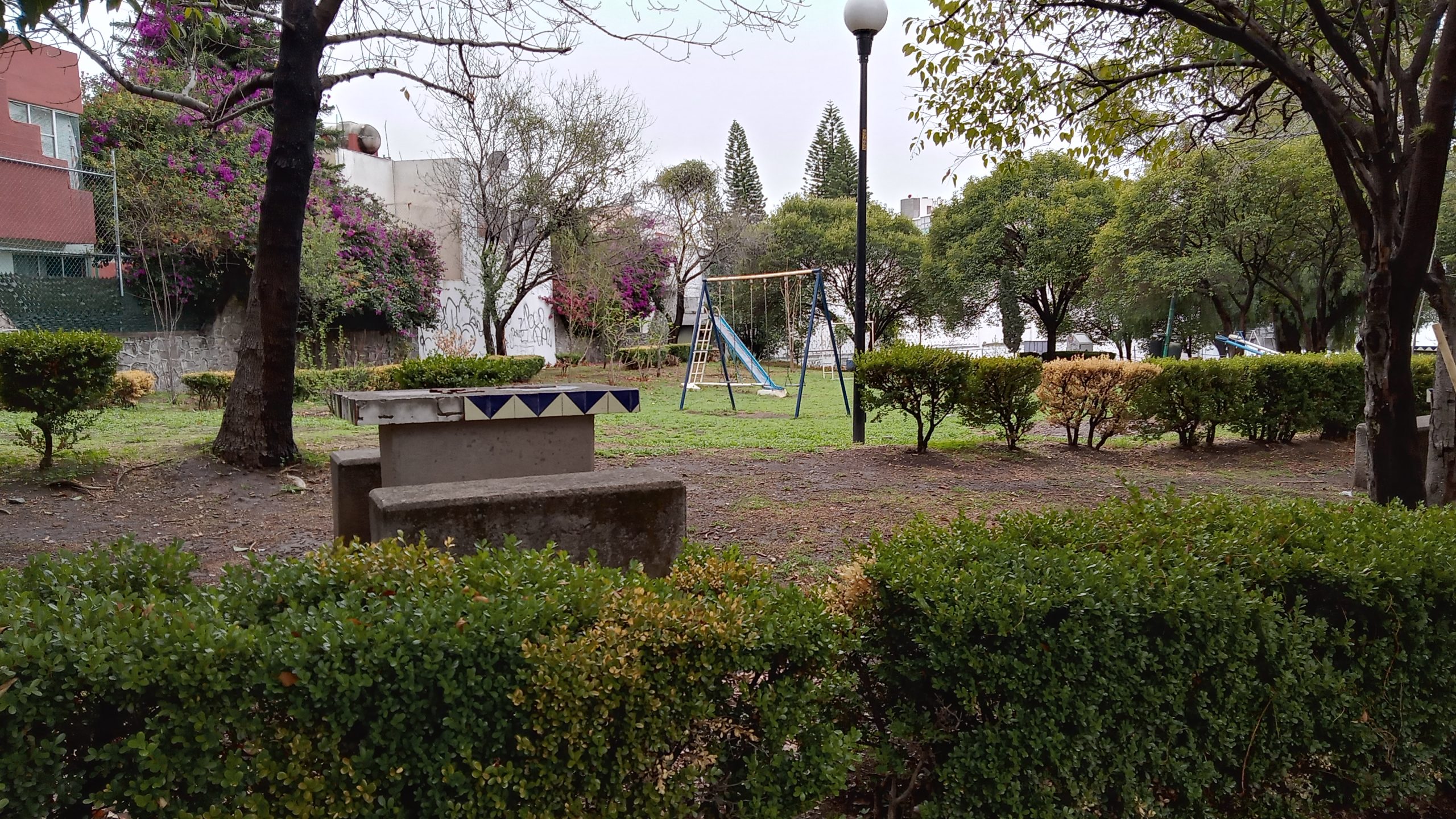 Limpiemos un parque: apropiarse de los pulmones de la ciudad