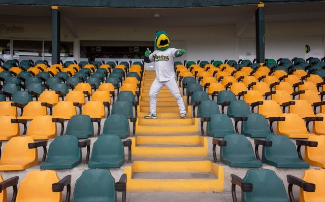 Nido verde anota «jonrón internacional»