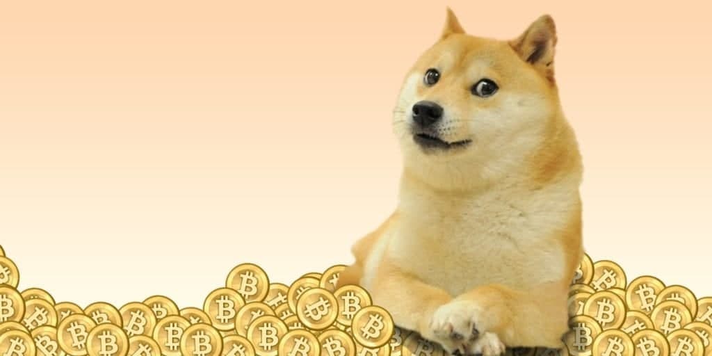 Which of all the ‘doggies’ will be crowned the new Dogecoin?