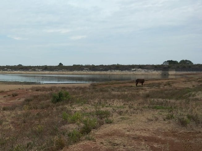 Presa Los Ángeles en Hidalgo ya solo es un espejo de agua