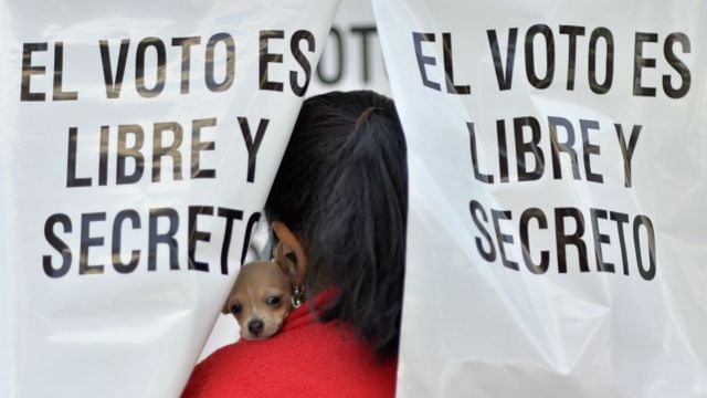 TEPJF pide subsanar deficiencias en elecciones de Huehuetlán el Grande e Ixcaquixtla