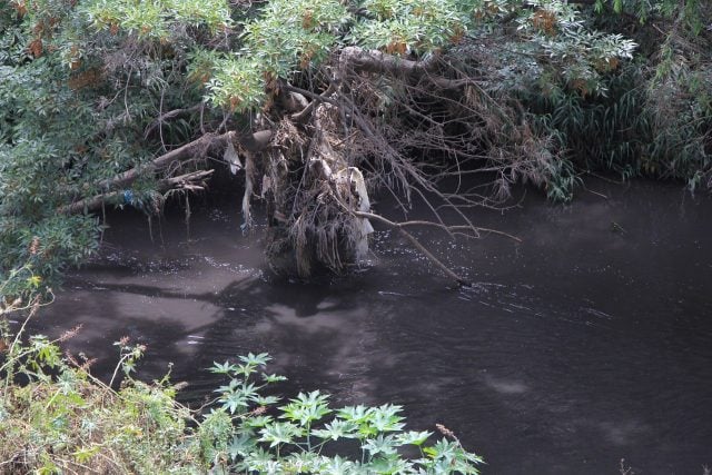 Va en aumento la contaminación en el río Atoyac