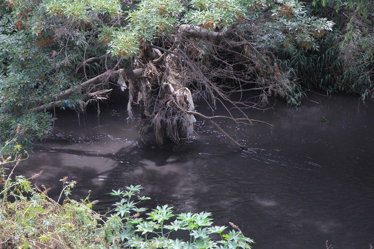 Va en aumento la contaminación en el río Atoyac