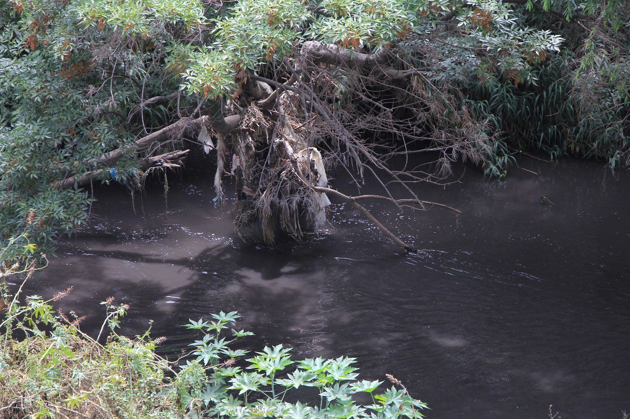 Va en aumento la contaminación en el río Atoyac