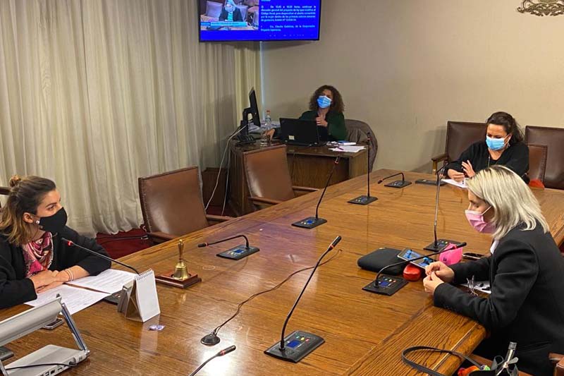 Comisión de Mujeres citará a autoridades de Salud tras denuncias de acoso laboral a trabajadoras en hospitales de Chillán y San Juan de Dios