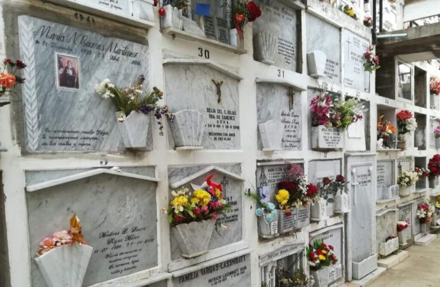 Denuncian comercio ilícito de piezas dentales de cadáveres en cementerio de Viña del Mar