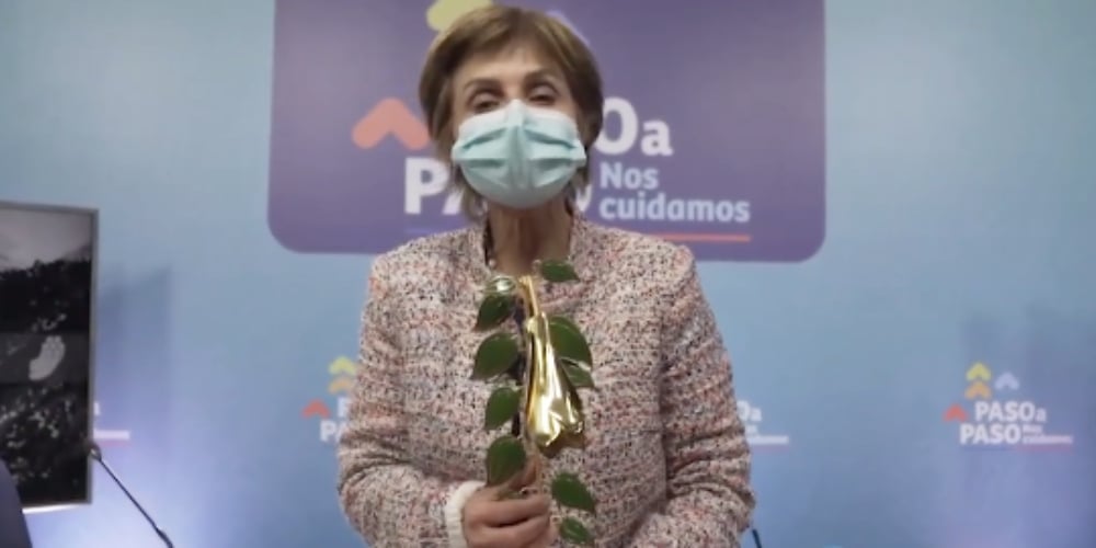 Indignación en redes ante Copihue de Oro para Paula Daza: Ciudadanos recuerdan polémica por cifras falsas y cuando llamó a salir a tomar un café durante el peor momento de la pandemia