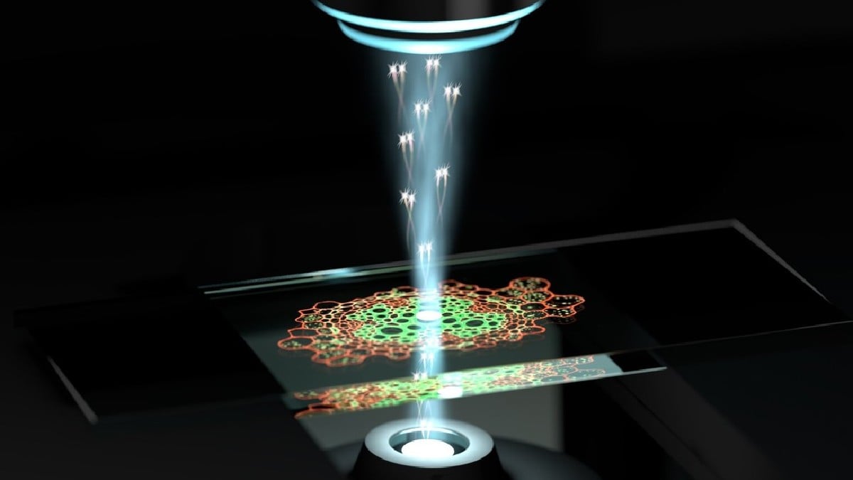 Científicos diseñan microscopio cuántico capaz de captar estructuras biológicas nunca vistas