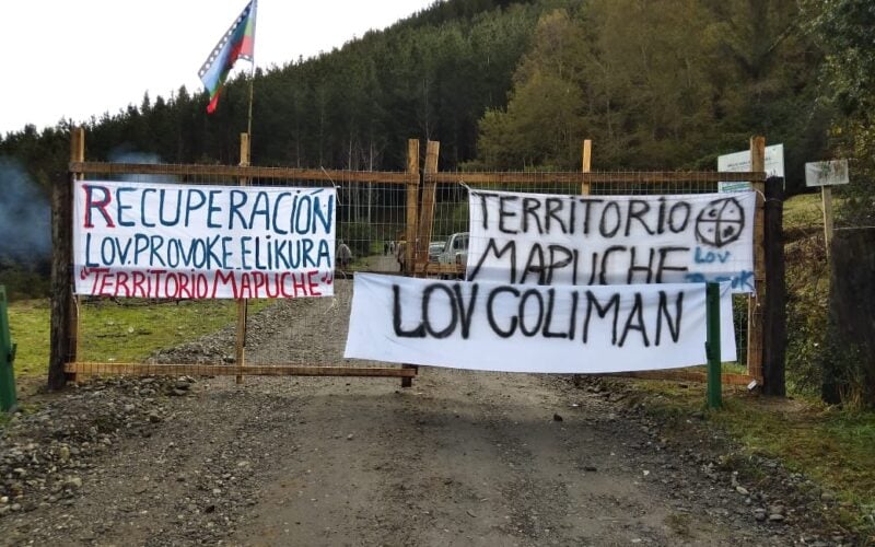 Inician proceso de recuperación territorial en contra de forestal Mininco en Arauco