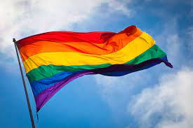 Movilh condena que Comisión del Senado postergara votación sobre matrimonio igualitario debido a largas presentaciones de sectores homofóbicos