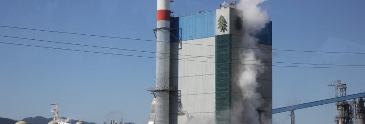 Arauco, la empresa con un despreciable prontuario socioambiental que auspicia a «La Roja»