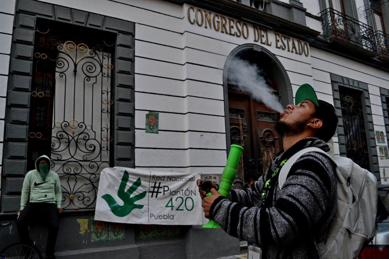 SCJN aprueba inconstitucionalidad de prohibición de uso recreativo de la marihuana