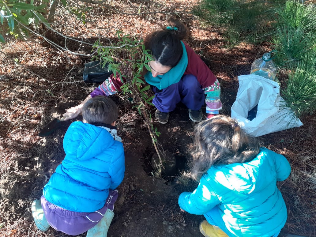 Algarrobo: Comunidad reforesta y rescata el Pillán Wechun (Punta Fraile)