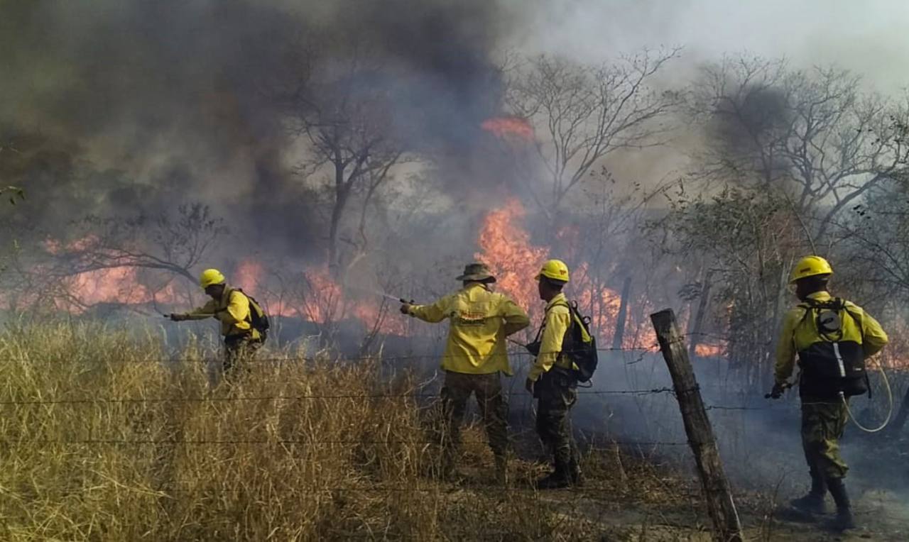 Incendios forestales en la Amazonía rompieron récords históricos en el 2020, pero este año sería peor